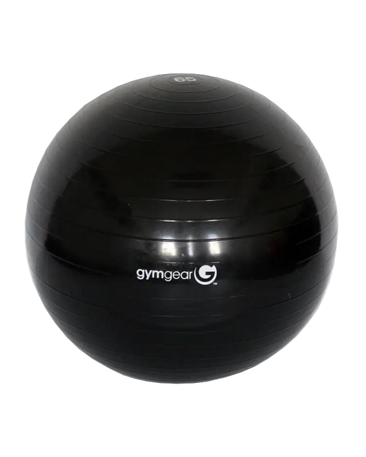 Gym Gear Gym Ball | Home Gym